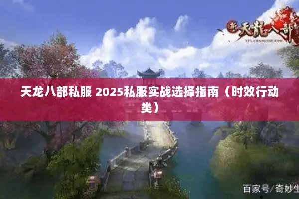 天龙八部私服 2025私服实战选择指南（时效行动类）