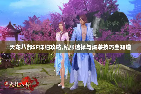 天龙八部SF详细攻略,私服选择与爆装技巧全知道 天龙八部SF详细攻略,私服选择与爆装技巧全知道