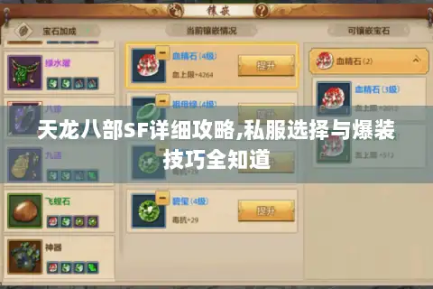 天龙八部SF详细攻略,私服选择与爆装技巧全知道 天龙八部SF详细攻略,私服选择与爆装技巧全知道