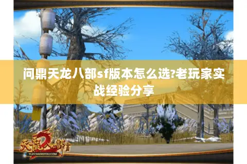 问鼎天龙八部sf版本怎么选?老玩家实战经验分享 问鼎天龙八部sf版本怎么选?老玩家实战经验分享
