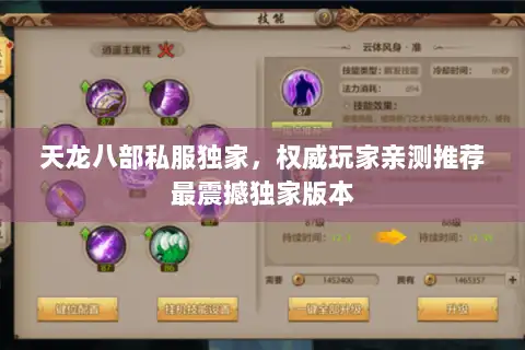 天龙八部私服独家，权威玩家亲测推荐最震撼独家版本