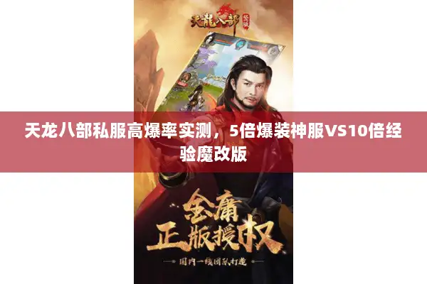 天龙八部私服高爆率实测，5倍爆装神服VS10倍经验魔改版