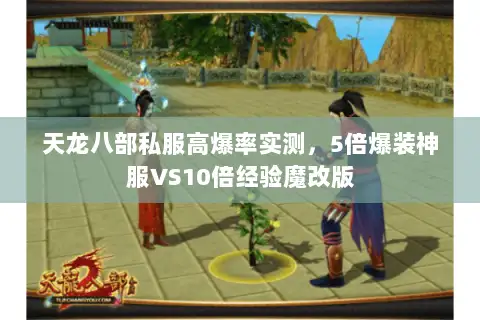 天龙八部私服高爆率实测，5倍爆装神服VS10倍经验魔改版