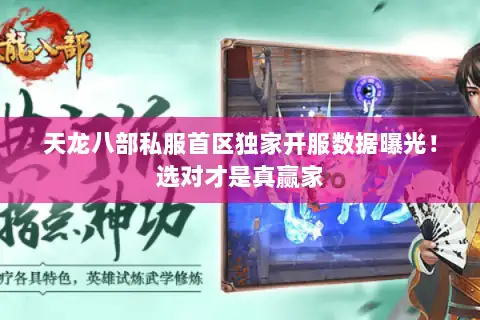 天龙八部私服首区独家开服数据曝光！选对才是真赢家