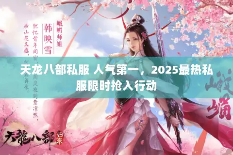 天龙八部私服 人气第一，2025最热私服限时抢入行动