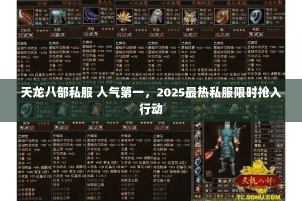 天龙八部私服 人气第一，2025最热私服限时抢入行动