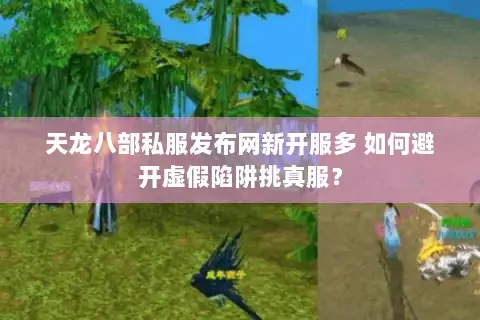 天龙八部私服发布网新开服多 如何避开虚假陷阱挑真服? 天龙八部私服发布网新开服多 如何避开虚假陷阱挑真服?