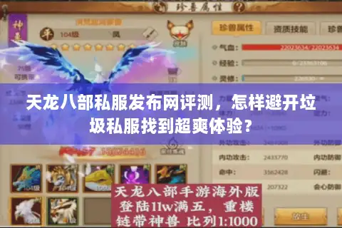 天龙八部私服发布网评测，怎样避开垃圾私服找到超爽体验？