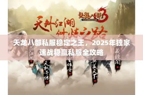 天龙八部私服稳定之王，2025年独家速战稳赢私服全攻略