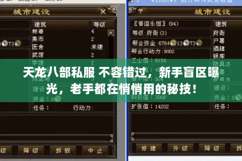 天龙八部私服 不容错过,新手盲区曝光,老手都在悄悄用的秘技! 天龙八部私服 不容错过,新手盲区曝光,老手都在悄悄用的秘技!