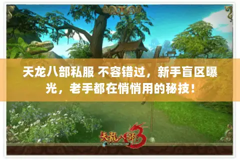 天龙八部私服 不容错过,新手盲区曝光,老手都在悄悄用的秘技! 天龙八部私服 不容错过,新手盲区曝光,老手都在悄悄用的秘技!