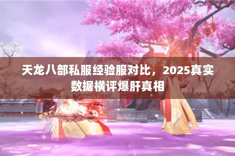 天龙八部私服经验服对比,2025真实数据横评爆肝真相 天龙八部私服经验服对比,2025真实数据横评爆肝真相