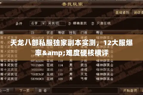 天龙八部私服独家副本实测,12大服爆率&难度硬核横评 天龙八部私服独家副本实测,12大服爆率&难度硬核横评