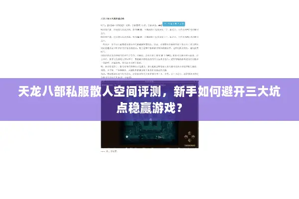 天龙八部私服散人空间评测，新手如何避开三大坑点稳赢游戏？