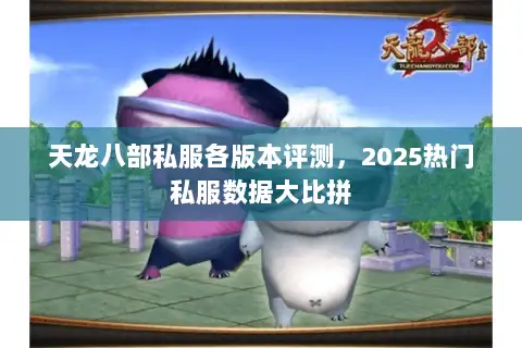 天龙八部私服各版本评测,2025热门私服数据大比拼 天龙八部私服各版本评测,2025热门私服数据大比拼