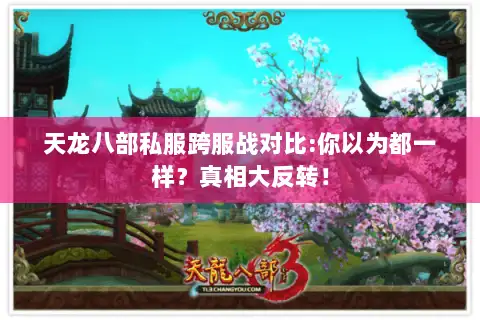 天龙八部私服跨服战对比:你以为都一样?真相大反转! 天龙八部私服跨服战对比:你以为都一样?真相大反转!