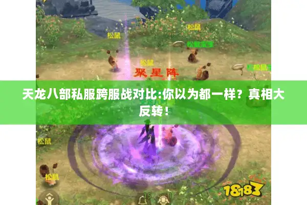 天龙八部私服跨服战对比:你以为都一样?真相大反转! 天龙八部私服跨服战对比:你以为都一样?真相大反转!