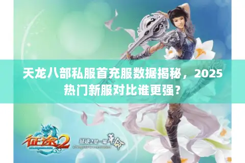 天龙八部私服首充服数据揭秘，2025热门新服对比谁更强？