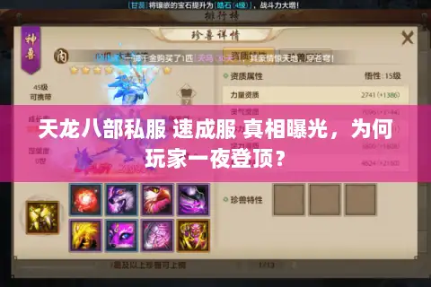天龙八部私服 速成服 真相曝光，为何玩家一夜登顶？