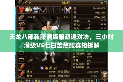 天龙八部私服满级服超速对决，三小时满级VS七日苦熬服真相拆解