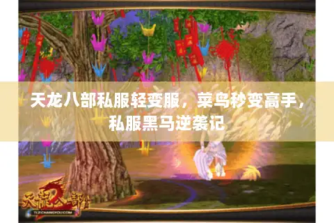 天龙八部私服轻变服,菜鸟秒变高手,私服黑马逆袭记 天龙八部私服轻变服,菜鸟秒变高手,私服黑马逆袭记