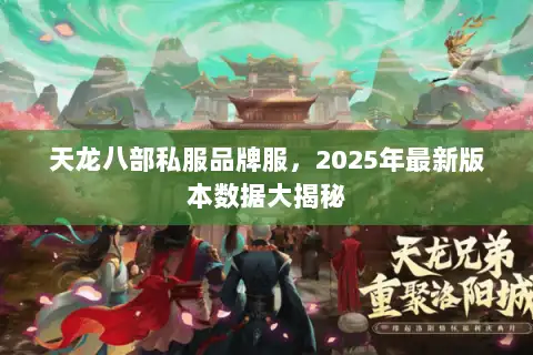 天龙八部私服品牌服，2025年最新版本数据大揭秘