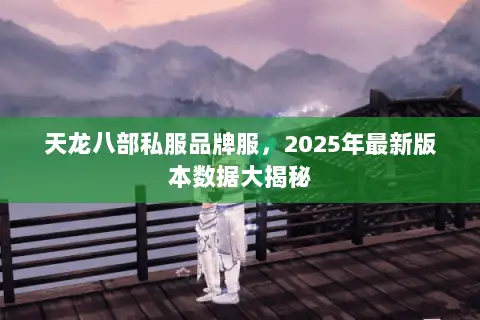 天龙八部私服品牌服，2025年最新版本数据大揭秘