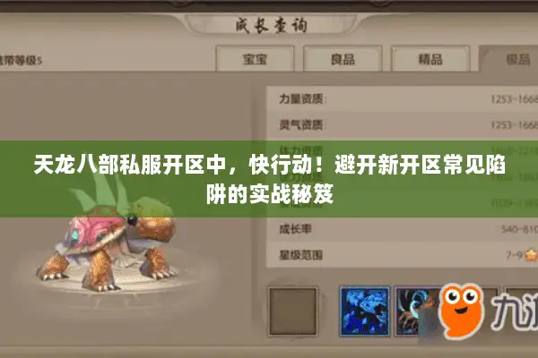 天龙八部私服开区中，快行动！避开新开区常见陷阱的实战秘笈