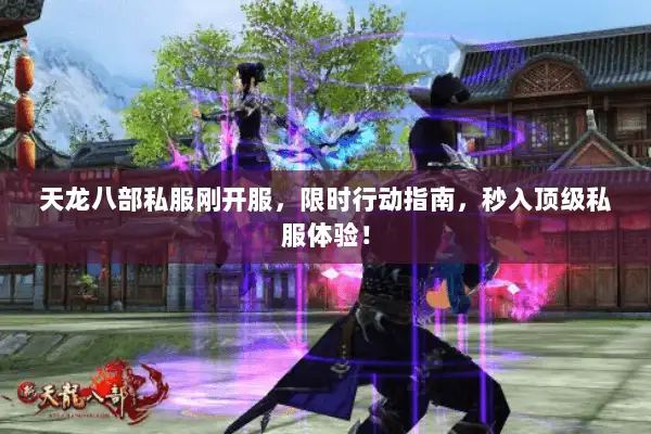 天龙八部私服刚开服,限时行动指南,秒入顶级私服体验! 天龙八部私服刚开服,限时行动指南,秒入顶级私服体验!