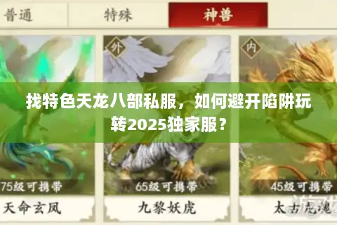 找特色天龙八部私服，如何避开陷阱玩转2025独家服？
