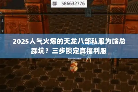 2025人气火爆的天龙八部私服为啥总踩坑？三步锁定真福利服