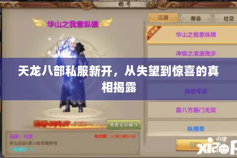 天龙八部私服新开,从失望到惊喜的真相揭露 天龙八部私服新开,从失望到惊喜的真相揭露