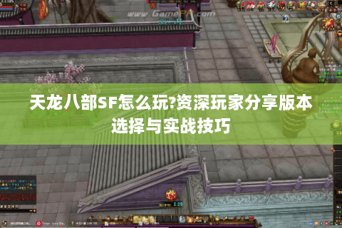 天龙八部SF怎么玩?资深玩家分享版本选择与实战技巧 天龙八部SF怎么玩?资深玩家分享版本选择与实战技巧