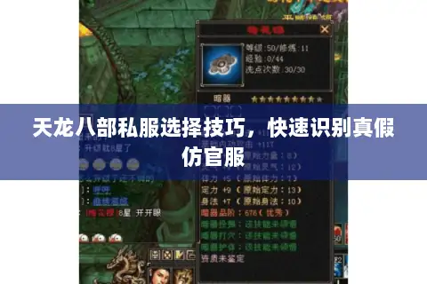 天龙八部私服选择技巧,快速识别真假仿官服 天龙八部私服选择技巧,快速识别真假仿官服