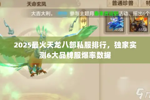 2025最火天龙八部私服排行，独家实测6大品牌服爆率数据