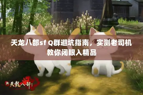 天龙八部sf Q群避坑指南,实测老司机教你闭眼入精品 天龙八部sf Q群避坑指南,实测老司机教你闭眼入精品