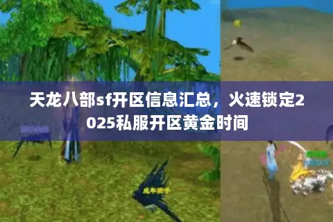 天龙八部sf开区信息汇总，火速锁定2025私服开区黄金时间