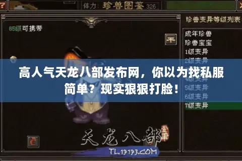 高人气天龙八部发布网，你以为找私服简单？现实狠狠打脸！