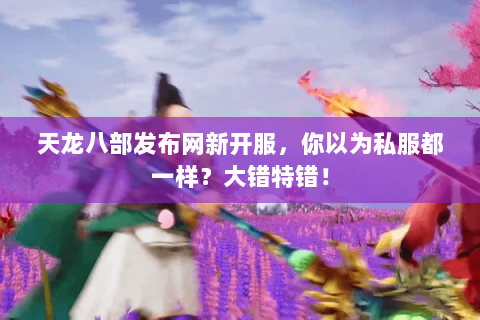 天龙八部发布网新开服,你以为私服都一样?大错特错! 天龙八部发布网新开服,你以为私服都一样?大错特错!