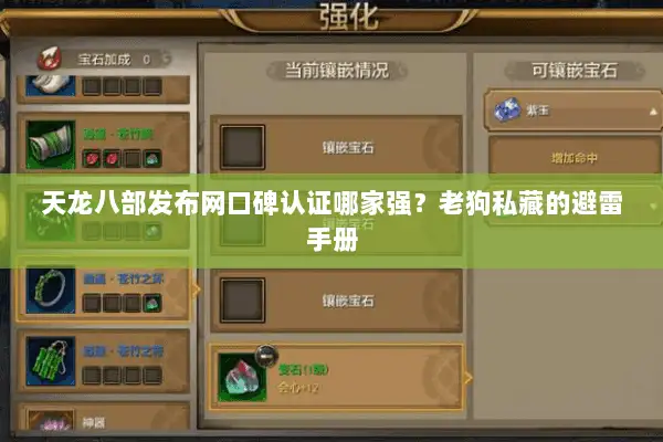 天龙八部发布网口碑认证哪家强？老狗私藏的避雷手册
