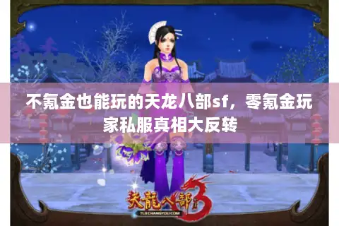 不氪金也能玩的天龙八部sf，零氪金玩家私服真相大反转