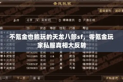 不氪金也能玩的天龙八部sf，零氪金玩家私服真相大反转