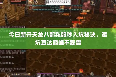 今日新开天龙八部私服秒入坑秘诀，避坑直达巅峰不踩雷