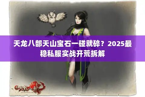 天龙八部天山宝石一碰就碎？2025最稳私服实战开荒拆解