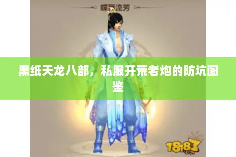 黑纸天龙八部，私服开荒老炮的防坑图鉴