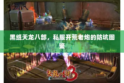 黑纸天龙八部，私服开荒老炮的防坑图鉴
