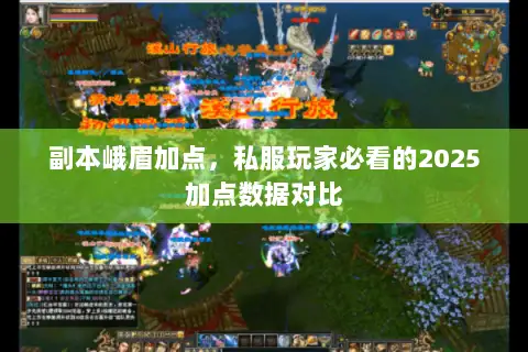 副本峨眉加点,私服玩家必看的2025加点数据对比 副本峨眉加点,私服玩家必看的2025加点数据对比