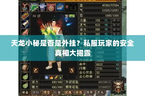 天龙小秘是否是外挂？私服玩家的安全真相大揭露