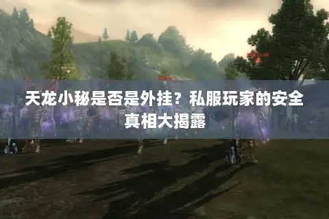 天龙小秘是否是外挂？私服玩家的安全真相大揭露