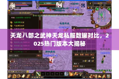 天龙八部之武神天龙私服数据对比，2025热门版本大揭秘